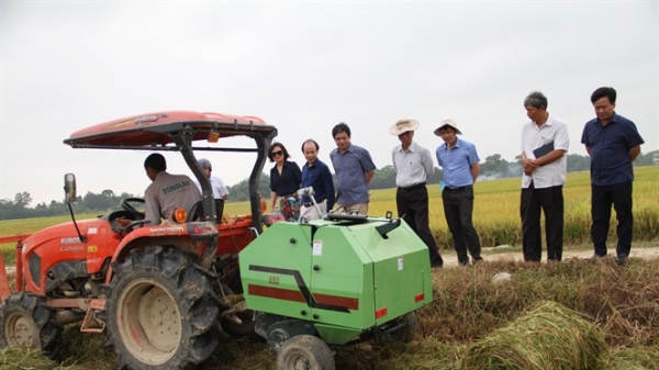 Huyện Phong Điền phấn đấu đạt chuẩn nông thôn mới trước năm 2025
