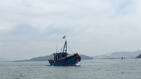 Bình Định: Vật chất nạo vét luồng lạch Cảng Quy Nhơn sẽ được tận dụng
