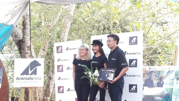 Ngôi sao Hollywood Maggie Q nhận bảo trợ gấu tại Việt Nam