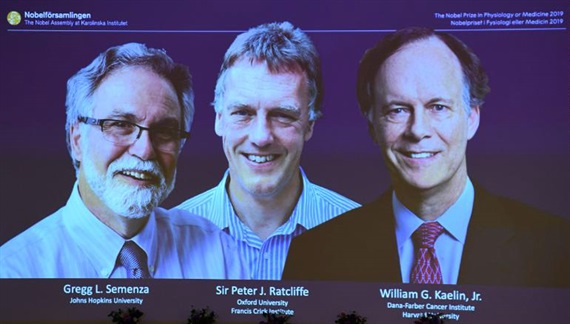 Giải Nobel Y sinh 2019 trao cho 3 nhà khoa học