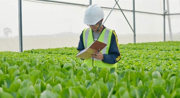 Thuận Thành phát triển nông nghiệp công nghệ cao