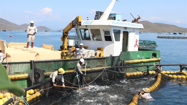 Việt Nam - Na Uy chia sẻ kinh nghiệm phát triển ngành công nghiệp nuôi biển