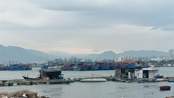 Tháo dỡ lồng bè tại vùng nước cảng cá Hòn Rớ và cầu Bình Tân