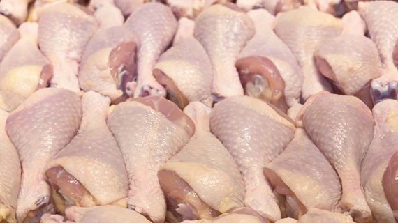 Giá thịt gà nhập khẩu về tới cảng Việt Nam bình quân 850 USD/tấn