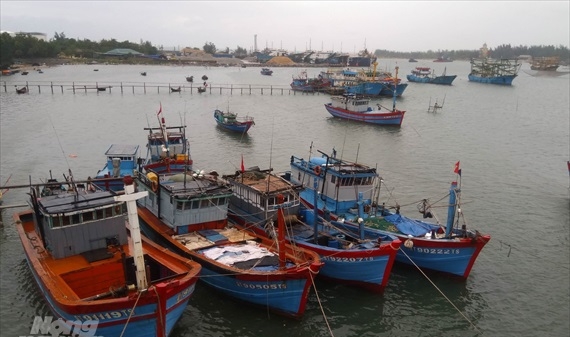 Quảng Trị: Kiểm tra điều kiện an toàn thực phẩm 95 tàu cá xa bờ
