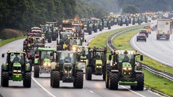 Hàng chục ngàn nông dân Hà Lan biểu tình
