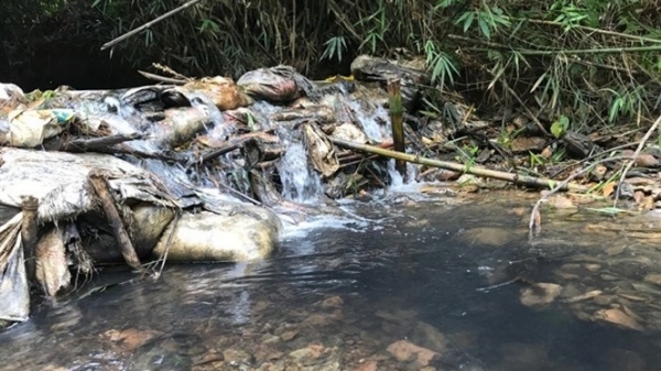 Bắt 2 đối tượng đổ chất thải vào nguồn nước khiến hàng vạn hộ dân Hà Nội khốn đốn