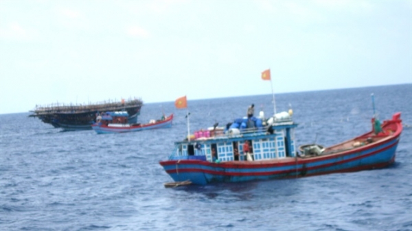Nhiều tàu cá và ngư dân Bình Định đang gặp nạn trên biển