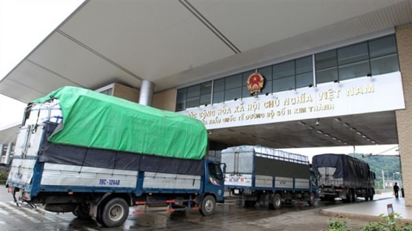 Gần 15 nghìn tấn thanh long được xuất sang Trung Quốc tuần qua