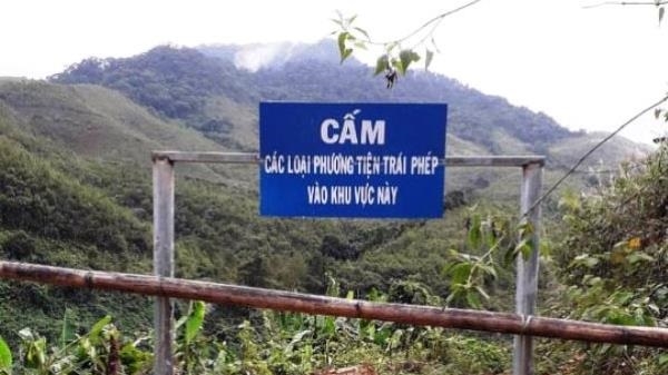 Phong tỏa đường mở trái phép vào rừng nguyên sinh giáp biên giới Việt - Lào