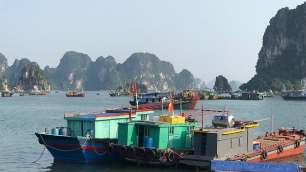 Quảng Ninh: Cấm phương tiện đường thủy trái phép trong khu vực Di sản Vịnh Hạ Long