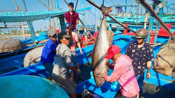 Phú Yên: Chấm dứt tàu cá vi phạm vùng biển nước ngoài