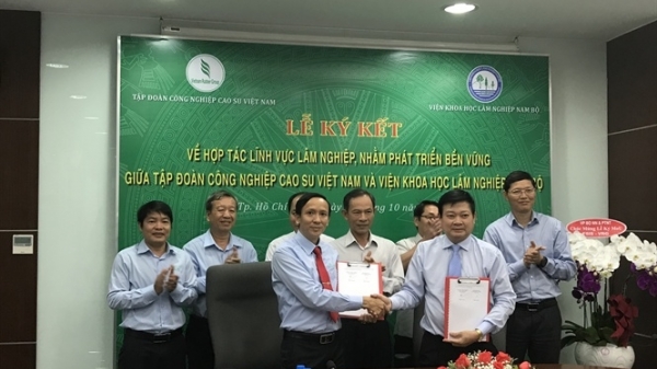 Ký kết hợp tác giữa Tập đoàn Công nghiệp Cao su Việt Nam và Viện Khoa học Lâm nghiệp Nam Bộ