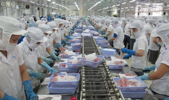 4 doanh nghiệp Việt sẽ xuất khẩu cá tra sang Mỹ với thuế suất 0 USD