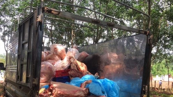 Hơn 1,5 tấn thịt dính tả lợn Châu Phi giấu trong kho lạnh