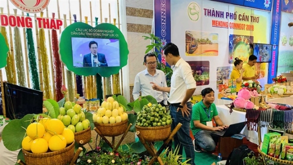 Diễn đàn kinh tế Mekong Connect 2019: Liên kết để cùng phát triển