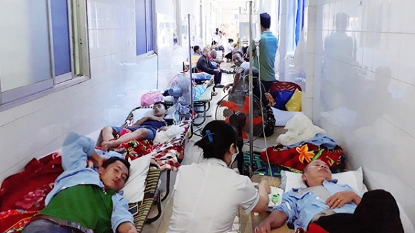 Quảng Bình: Quá tải vì sốt xuất huyết