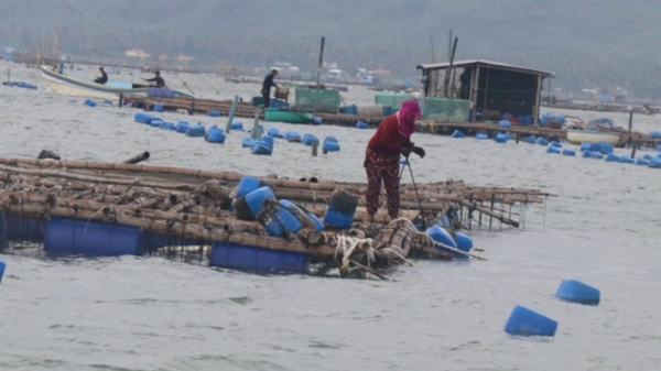 Bão số 6 đổ bộ khu vực ven biển Phú Yên, Khánh Hòa, chưa ghi nhận thiệt hại về người