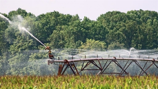 Cuộc cách mạng nông nghiệp Trung Quốc: [Bài 2] Công nghệ đột phá giúp tiết kiệm nước