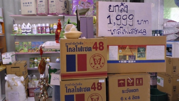 Bị cấm dùng hóa chất, nông dân Thái Lan rơi vào thế bí