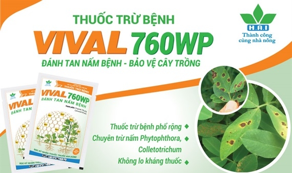 VIVAL 760WP - thuốc trừ nấm bệnh thế hệ mới của Nông dược HAI
