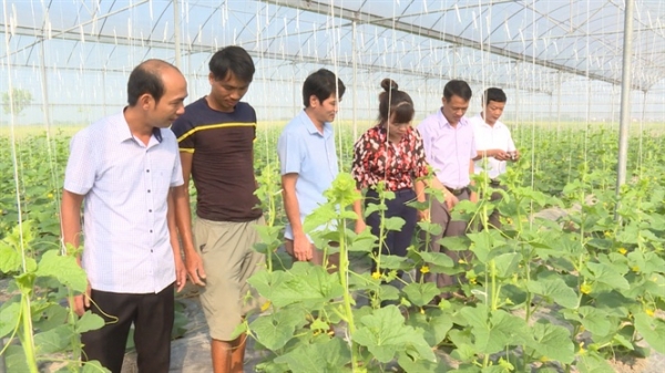 Bắc Ninh: Phê duyệt Chương trình Khuyến nông 2020 - 2025