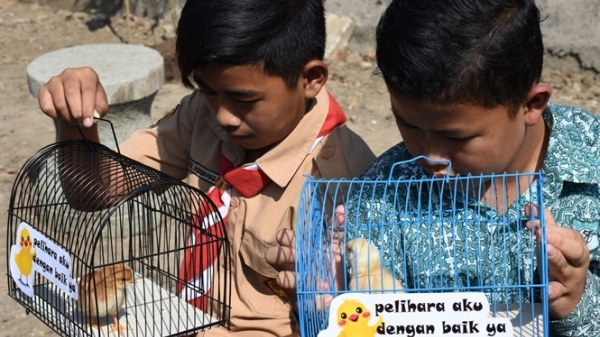 Dùng gà con tặng trẻ để ‘cai’ smartphone