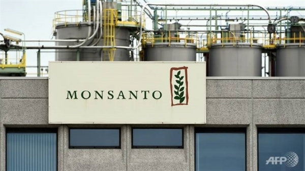 Monsanto thừa nhận dùng thuốc trừ sâu cấm