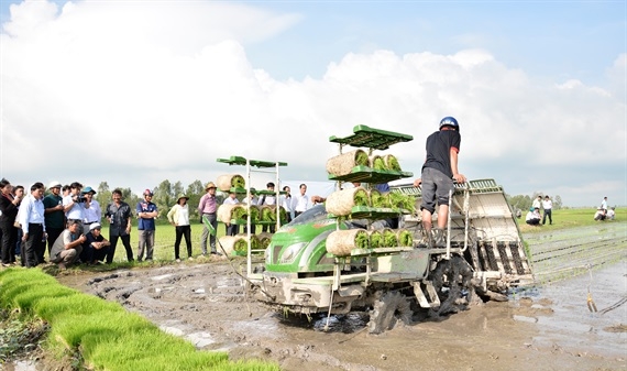 Kiên Giang: Xây dựng cánh đồng lớn áp dụng cơ giới hóa đồng bộ sản xuất lúa