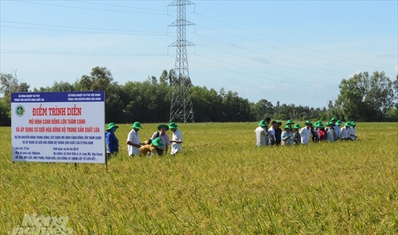 Hậu Giang: Tăng thêm 60% lợi nhuận khi cơ giới hóa đồng bộ sản xuất lúa