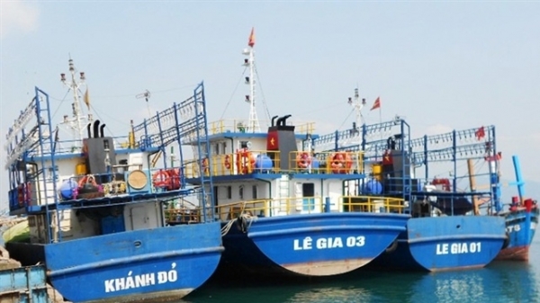 Rắc rối bảo hiểm tàu cá 67 ở Bình Định