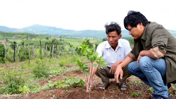 'Thủ phủ bể nợ' xây dựng vùng chuyên canh cây có múi VietGAP