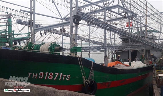 Thanh Hóa: Nhiều 'tàu 67' làm ăn không hiệu quả