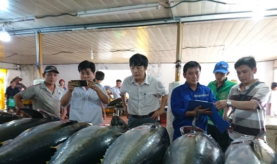 Cá ngừ Việt hưởng lợi từ chiến tranh thương mại Mỹ - Trung