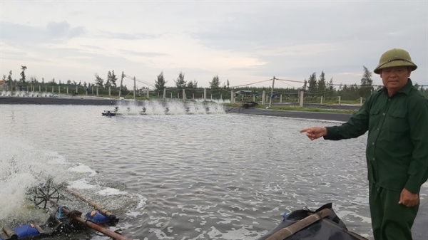 Quỳnh Lưu dẫn đầu xứ Nghệ ngành nghề thủy sản