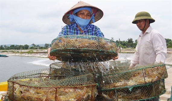 Nắm bắt thông tin từ Trung Quốc để xuất khẩu thủy sản