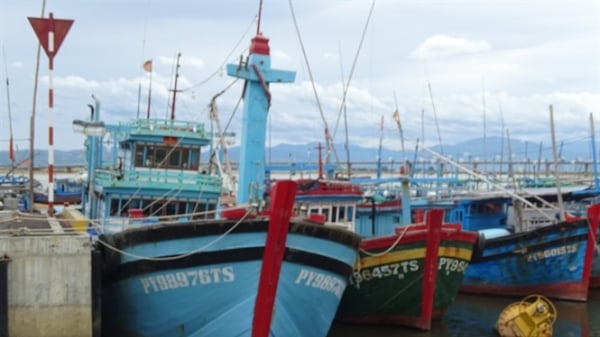 'Tàu cá 67' ở Phú Yên sinh ra nhiều 'con nợ'