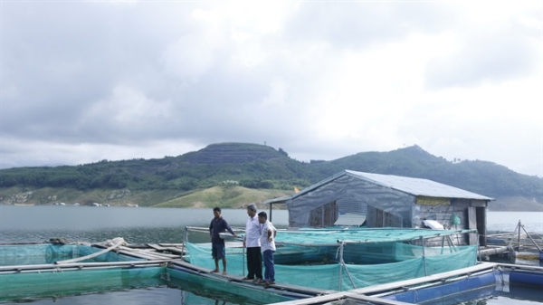 Quảng Nam phát triển toàn diện nghề nuôi thủy sản