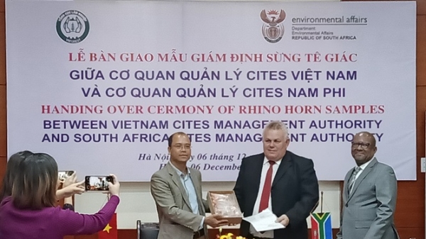 CITES Việt Nam bàn giao 55 mẫu vật sừng tê giác cho Nam Phi
