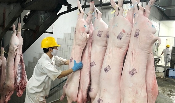 Bộ Tài chính đề xuất giảm thuế nhập khẩu thịt lợn, gà