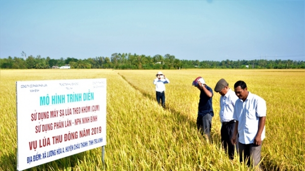 Cơ giới hóa tăng 48% lợi nhuận sản xuất lúa