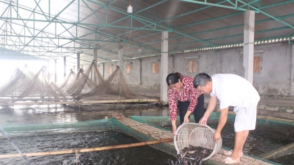 Thủy sản Nam Định xuất khẩu sang Trung Quốc gặp khó