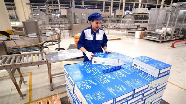 TH Milk là doanh nghiệp đầu tiên được cấp Mã giao dịch xuất khẩu sữa sang Trung Quốc