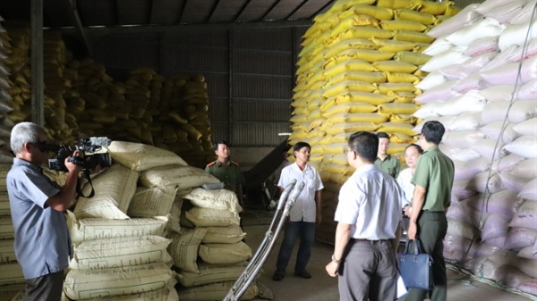 Lành mạnh ngành giống để thơm danh gạo Việt