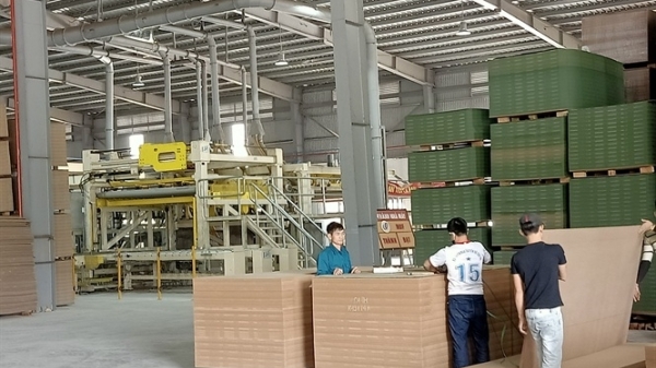 Hà Tĩnh: Nhà máy chế biến gỗ MDF lao đao
