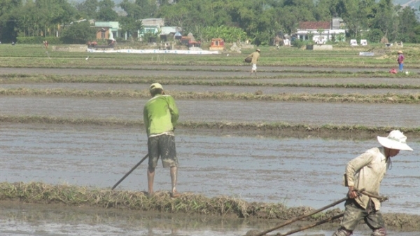 Lo hạn đến sớm