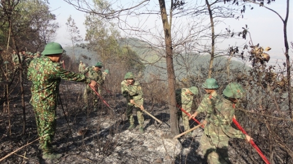 Hai ngày dập lửa cứu rừng Yên Dũng