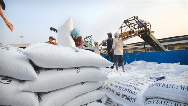 Xuất khẩu gạo kịp thời xoay chuyển thị trường