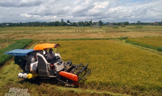 Hơn 10 tỷ đồng xây nhà máy chế biến lúa gạo tại Quảng Trị