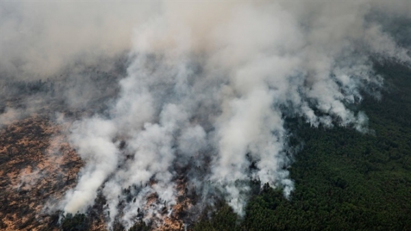 Cháy rừng ở Indonesia thiệt hại 5,2 tỷ USD